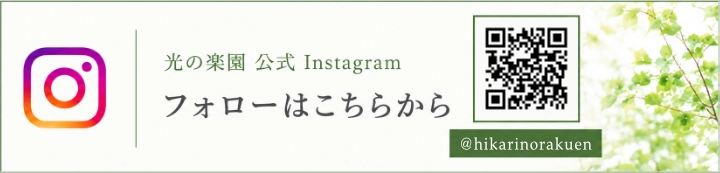 光の楽園 Instagram