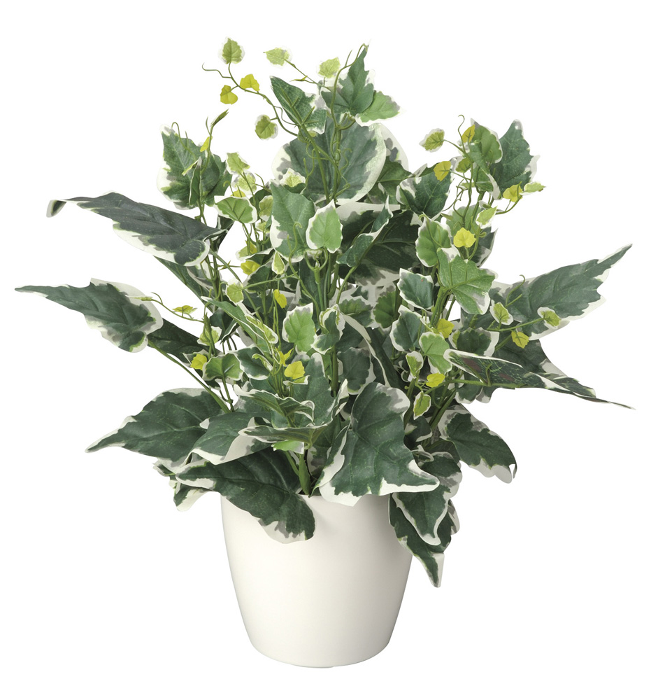 光触媒 光の楽園 ホーランドアイビーl インテリアグリーン 人工観葉植物 254g50 造花と観葉植物の専門店 光の楽園 光触媒 光の楽園 ホーランドアイビーl インテリアグリーン 人工観葉植物 254g50 造花と観葉植物の専門店 光の楽園