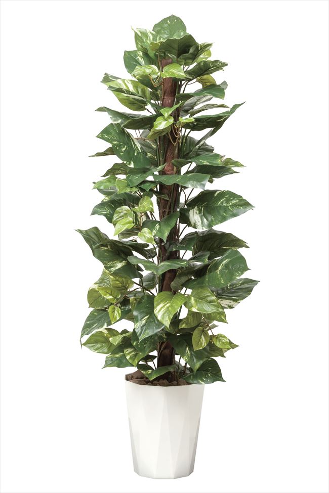 光触媒 光の楽園ポトス1 35m インテリアグリーン 人工観葉植物 511a250 造花と観葉植物の専門店 光の楽園 光触媒 光の楽園ポトス1 35m インテリアグリーン 人工観葉植物 511a250 造花と観葉植物の専門店 光の楽園