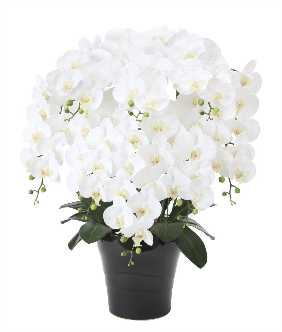 光の楽園フレッシュ胡蝶蘭W8本立【アートフラワー 造花 ギフト】