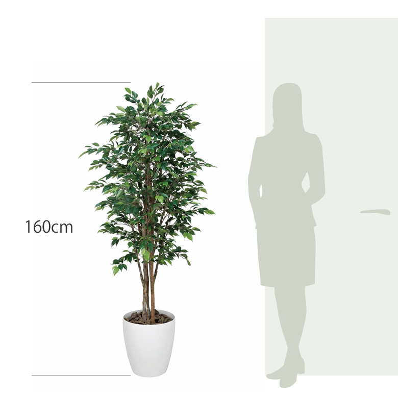 光触媒 光の楽園 ロイヤルベンジャミン 1.6m【インテリア フェイク