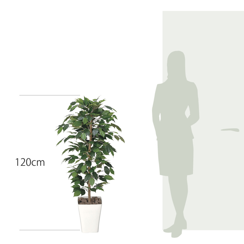 光触媒 光の楽園 フィカスベンジャミン 1.2m【インテリア フェイク