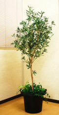 光触媒　人工観葉植物　ウォールグリーン　ポリシャス 高さ 1.15m