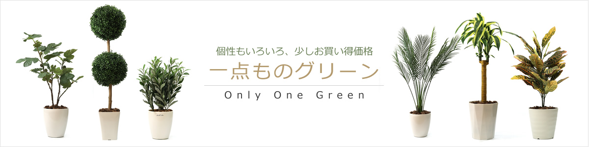 光の楽園公式ショップ｜光触媒人工観葉植物・造花・フェイクグリーンの販売