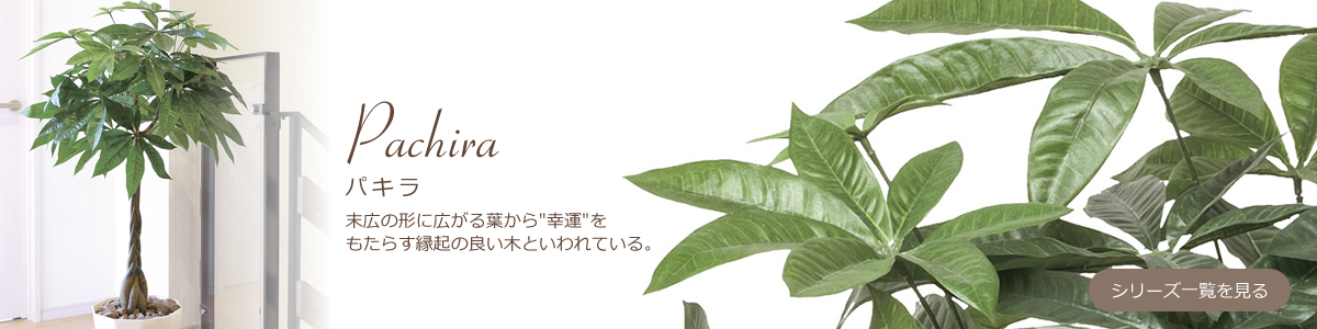 光触媒 人工観葉植物 カサブランカＰとフェアリーローズ